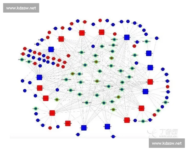 历史交锋数据揭示双方实力对比与胜负趋势分析